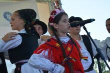 Hagyományőrző szekció