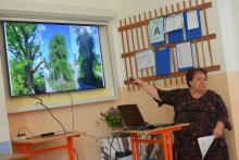 Mesék szekció és műhelymunka