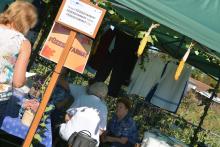 Gasztronómiai szekció