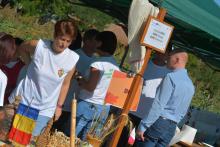 Gasztronómiai szekció