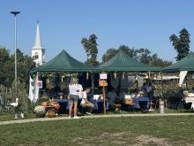 Gasztronómiai szekció