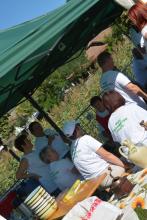 Gasztronómiai szekció