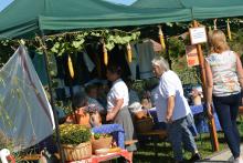 Gasztronómiai szekció